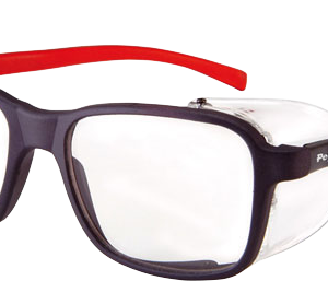 Gafa protección Europa Pegaso