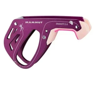 Asegurador Smart 2.0