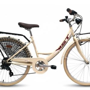 Paseo 26″ vintage | WST Sousse | 6 velocidades + accesorios