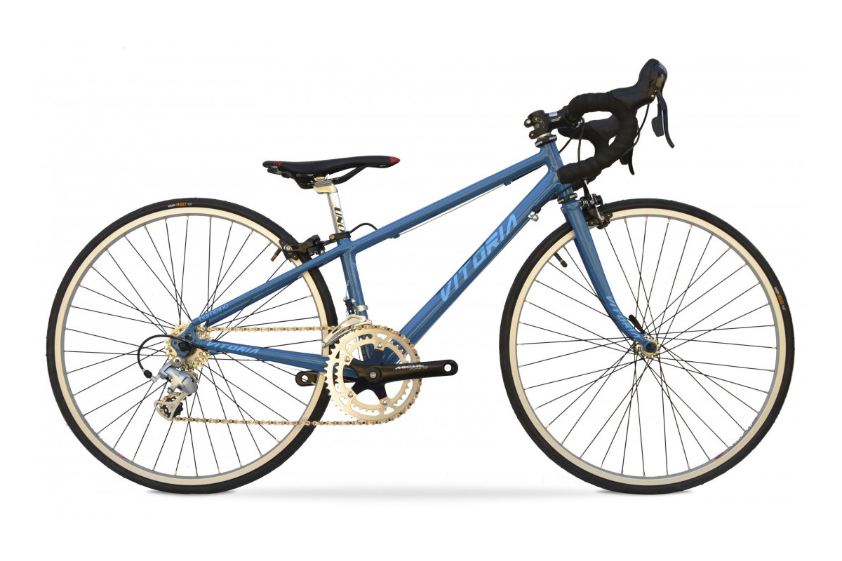 Bicicleta Vitoria BAMBINO 600 - Imagen 2