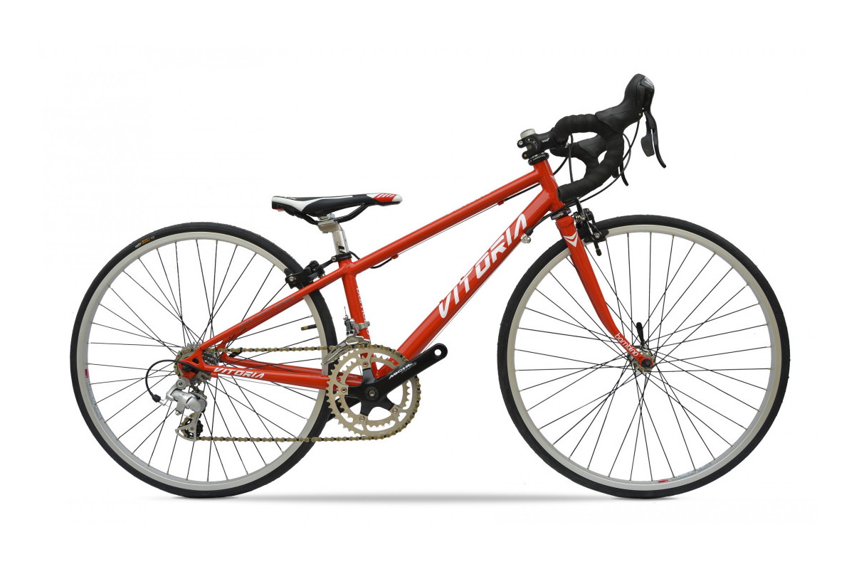 Bicicleta Vitoria BAMBINO 700 - Imagen 3